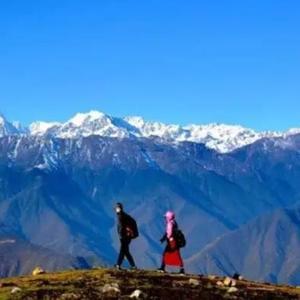 互聯(lián)網(wǎng)基石 域名根服務(wù)器的運作與影響